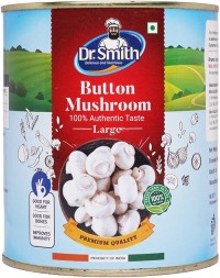 DR SMITH MUSHROOM LARGE